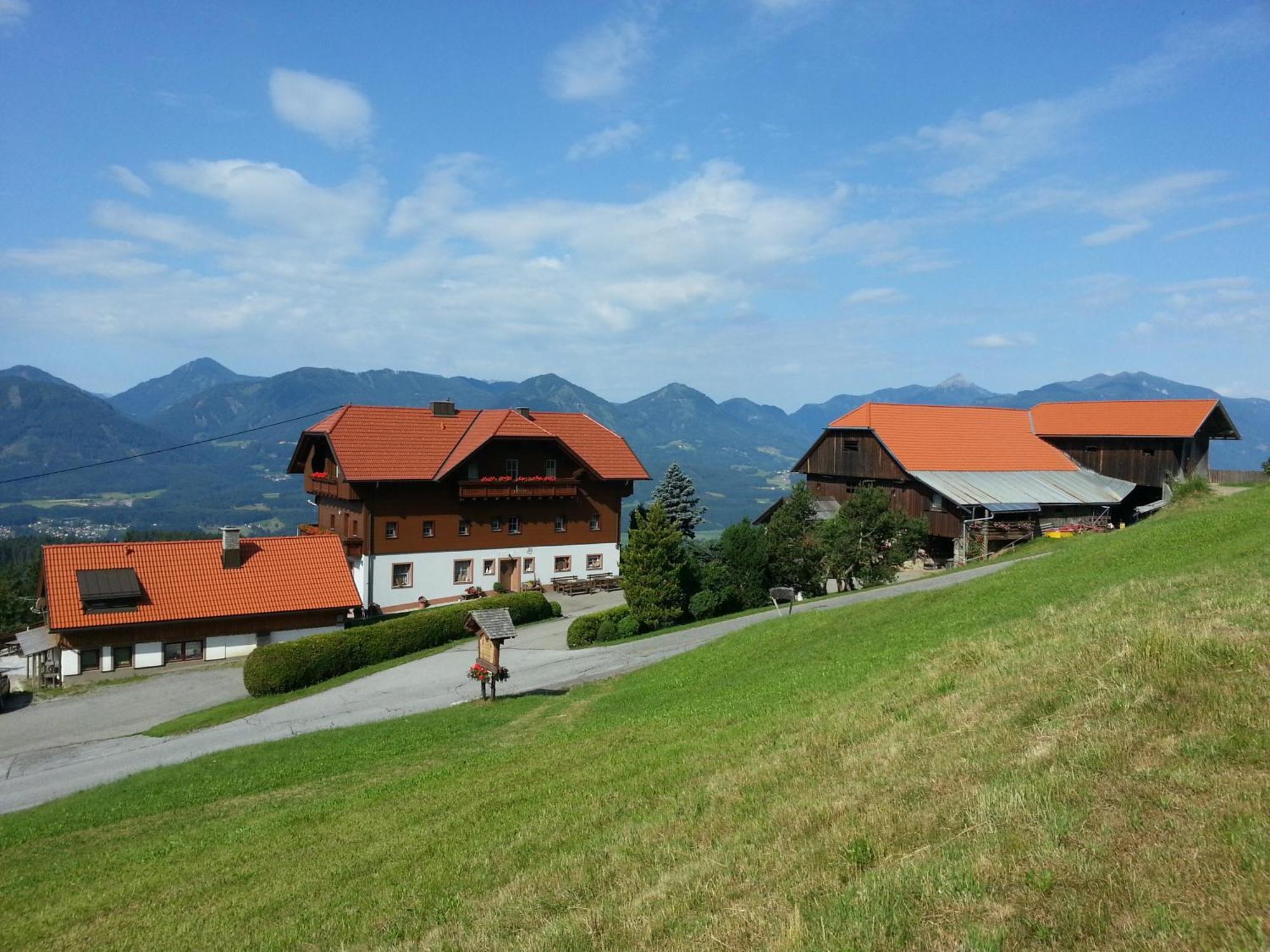 Pension Bauernhof Baumgartner Stanahof Fresach Экстерьер фото